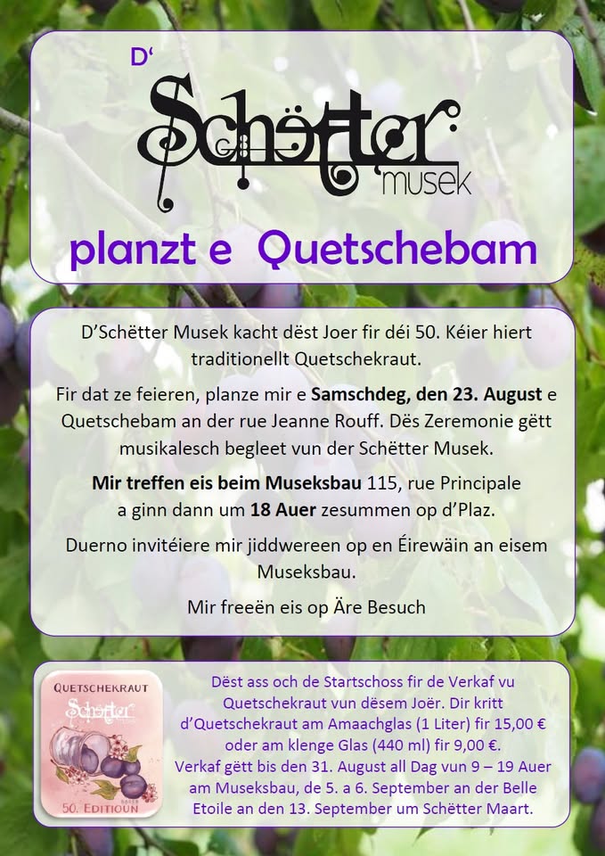 D'Schëtter Musek plants a plum tree