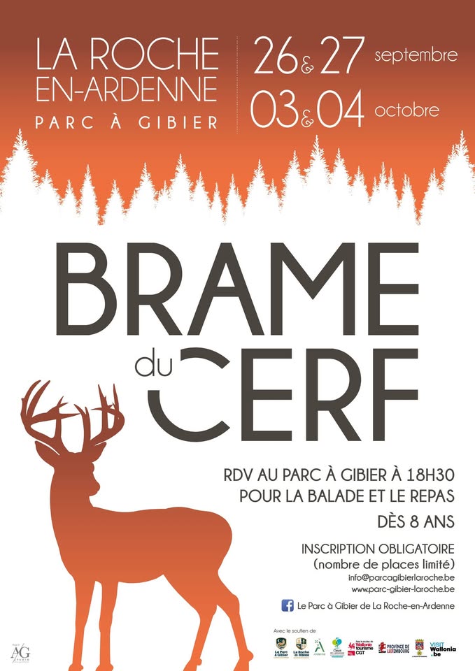 Brame du cerf
