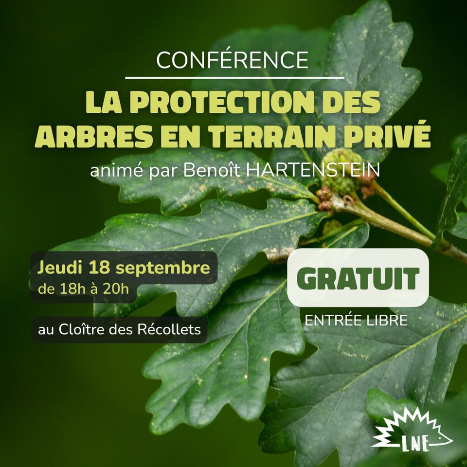 Conférence Protéger les arbres en terrain privé