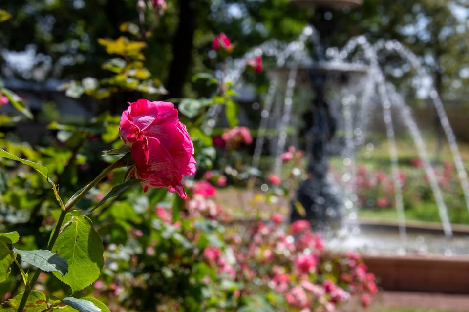 Guided Tour Thionville Naturally