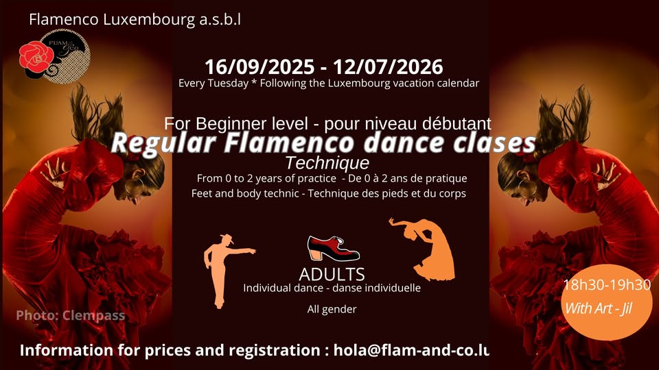 Cours de Flamenco pour Adultes : DÉBUTANTS - TECHNIQUE (Tous les Mardis)