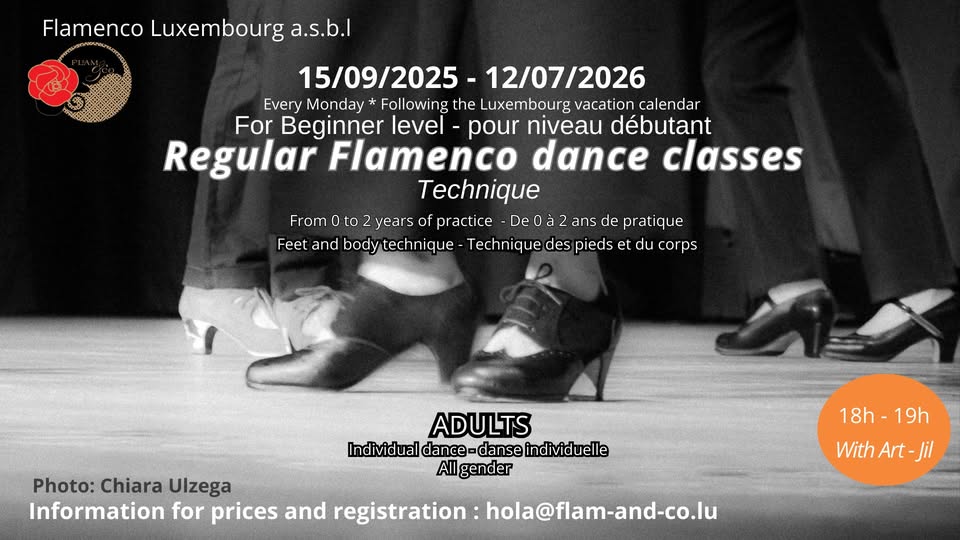 Flamenco pour Adultes : Débutant - Technique (Lundi)