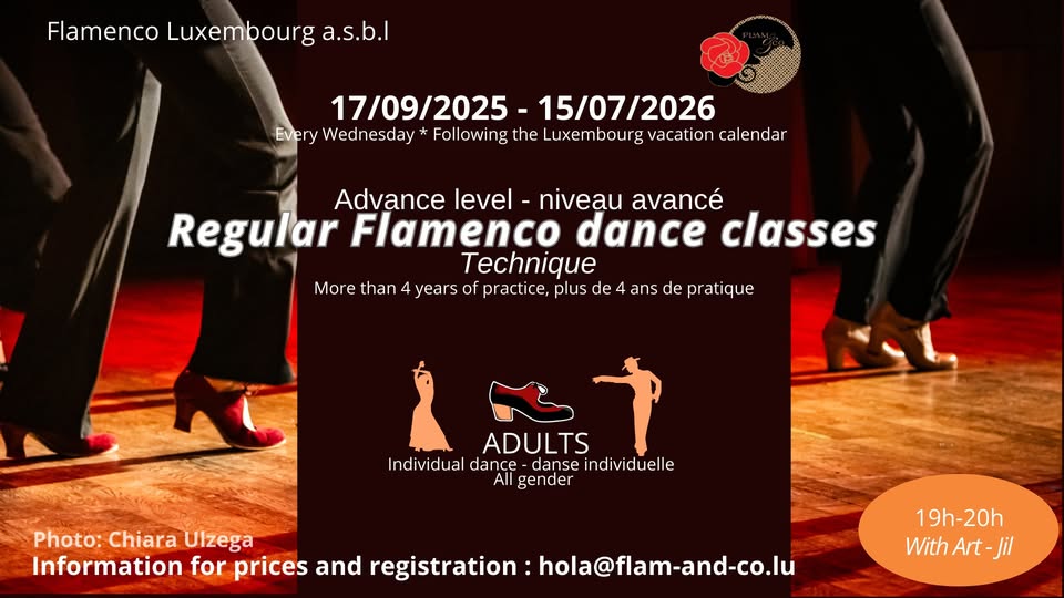Flamenco pour adultes : Avancé / Niveau Avancé : Chorégraphie (Tous les mercredis)
