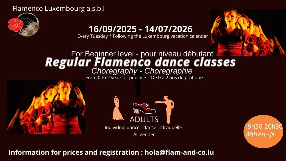 Flamenco pour Adultes : Débutant - Chorégraphie (tous les mardis)