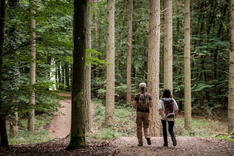 Journée mondiale du tourisme - Randonnée