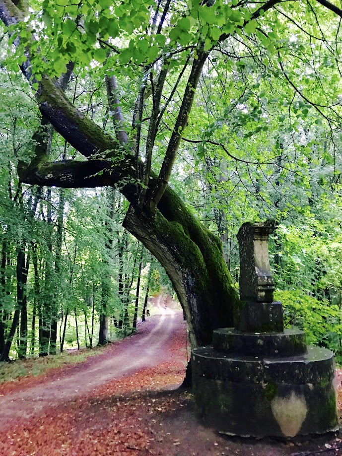 Hike in Beckerich