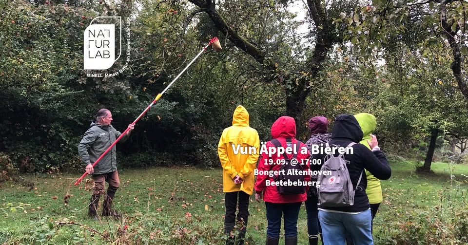 Découvrez le plus grand verger du pays à Bongert Altenhoven