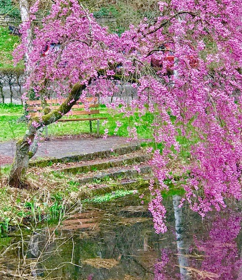 Workshop: Elevate Your Vibrational Frequency and Create Your Sustainable Inner Ecology with Pantxika