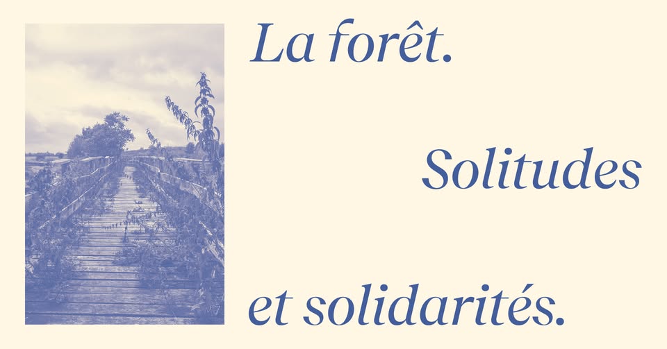 Opening | Exhibition The Forest. Solitudes and Solidarities.