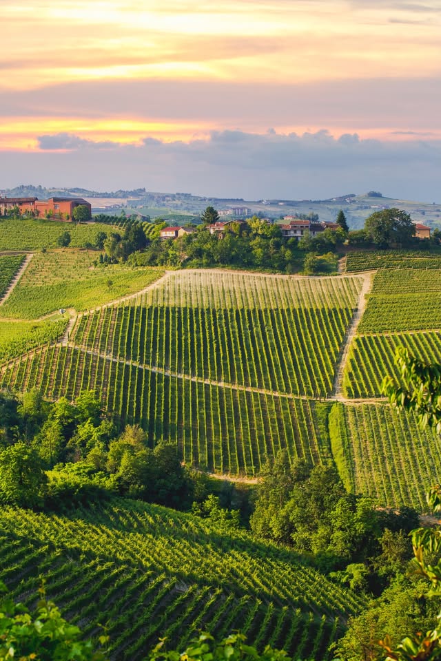 Grand Autumn Wine Tasting at Vinissimo