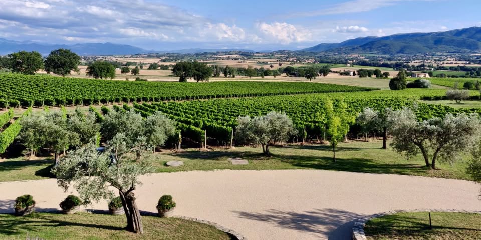 Soirée spéciale Umbria : Dîner accords mets & vins (Domaine Perticaia)