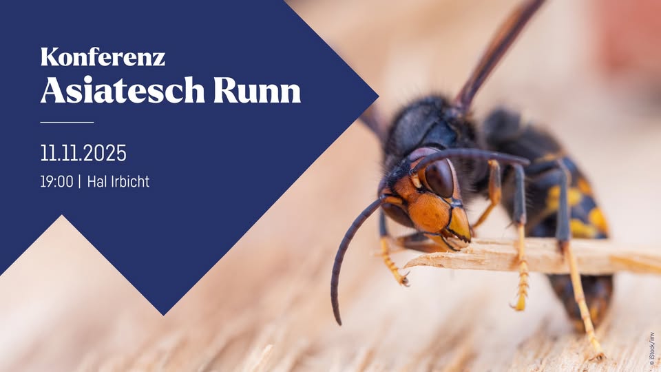 Conférence sur le frelon asiatique