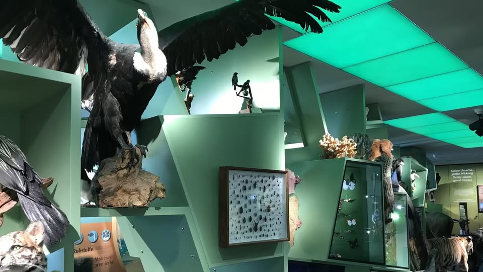 Guided Tours of the Permanent Exhibition