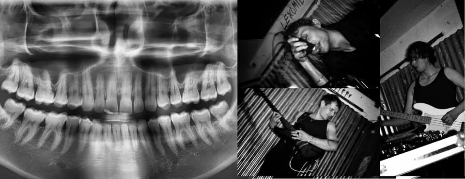 Anton + Le Chat Vampire