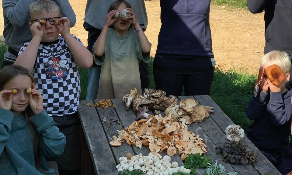 In Search of Late Autumn and Winter Mushrooms