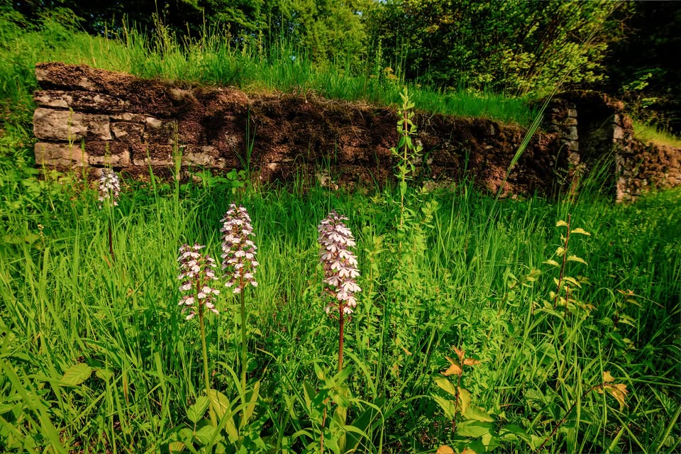 Conférence sur l'histoire et la culture d'Echternach