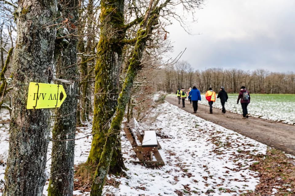 Promenade Guidée Hivernale