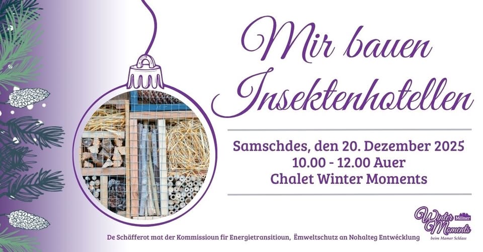 Build insect hotels with us