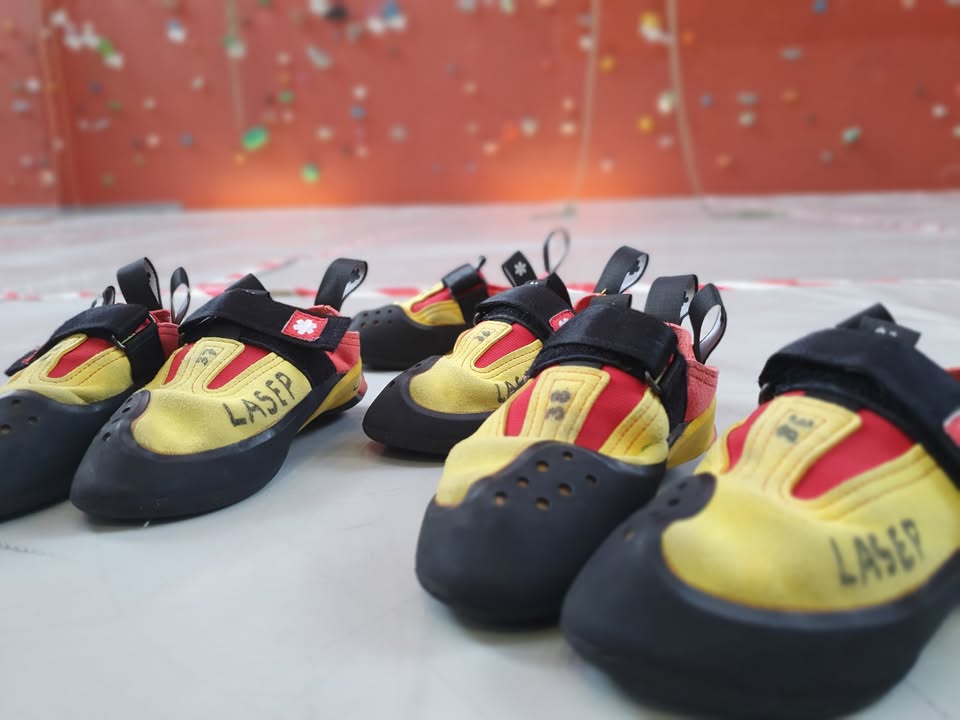 Cours d'escalade Mini Koala - Aventure et plaisir pour les enfants de 6-8 ans