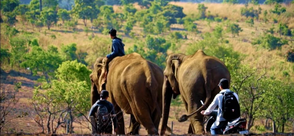 Festival Permaculture : projections et discussions avec Kévin Simon