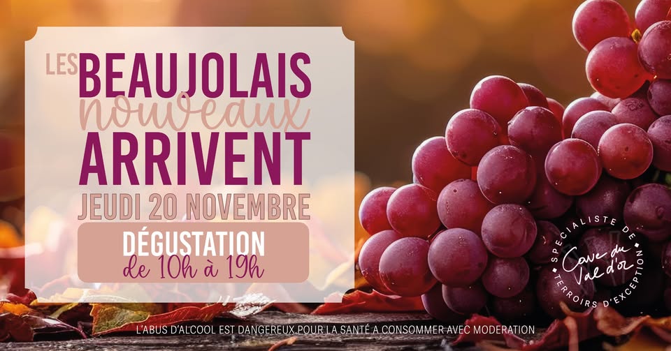 Dégustation Beaujolais Nouveau