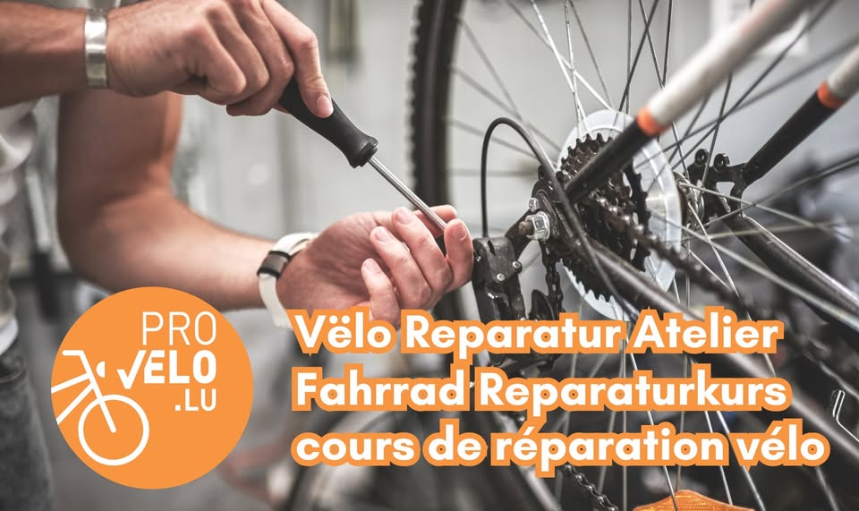 ProVelo - Bike Repair Workshop (LU/DE/FR)