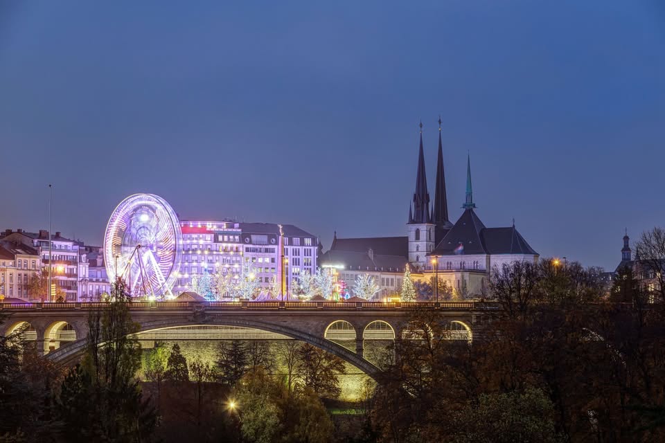 Winterlights by Night - guided tour