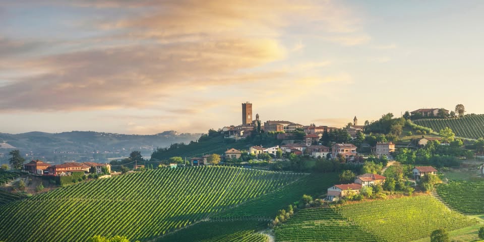 Événement inédit | Grande Dégustation des vins du Piémont - Terre de grands crus