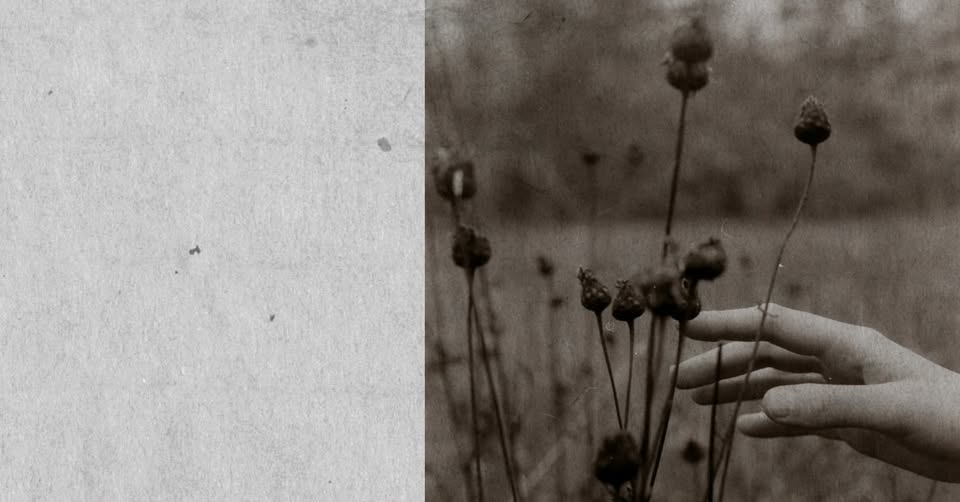 Grift & Alexandra Uppman: At home among trees (Art & Music)