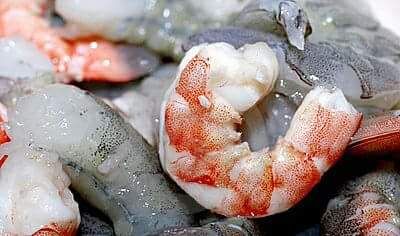 All-You-Can-Eat Scampis