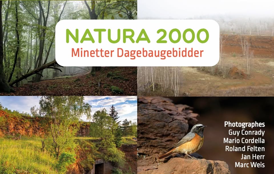 Exposition Photo Natura 2000 - Minetter Dagebaugebidder