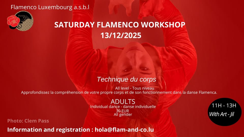 Atelier de danse Flamenco : tous niveaux : Technique du corps