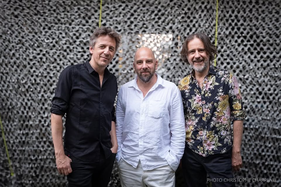 Singular || Sortie d'Album