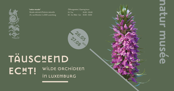 Vernissage der Ausstellung "Täuschend echt! Wilde Orchideen in luxemburg"