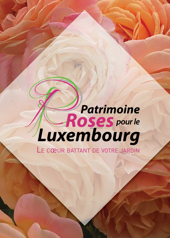 Le Patrimoine Rosier luxembourgeois
