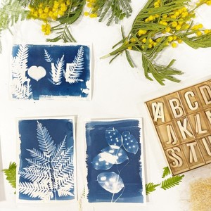 Workshop for adults: cyanotype