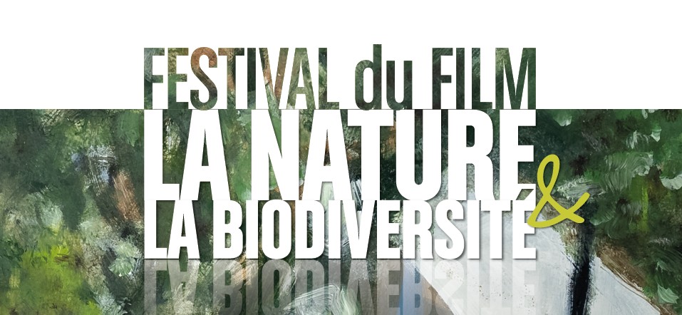 Film Festival – The Forest Maker