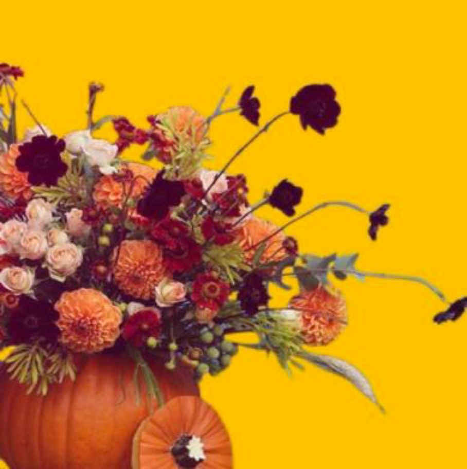 Potiron d'automne avec des fleurs  - Atelier