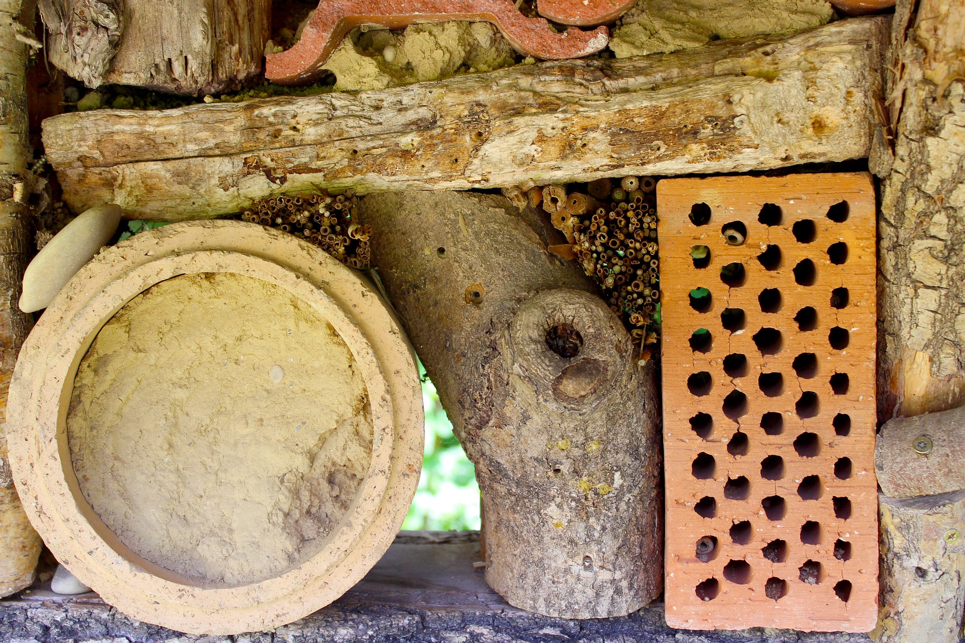 Aides les abeilles sauvages: Hôtel à insectes