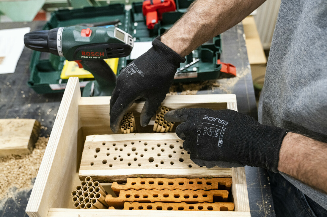 Workshop building an insect hotel