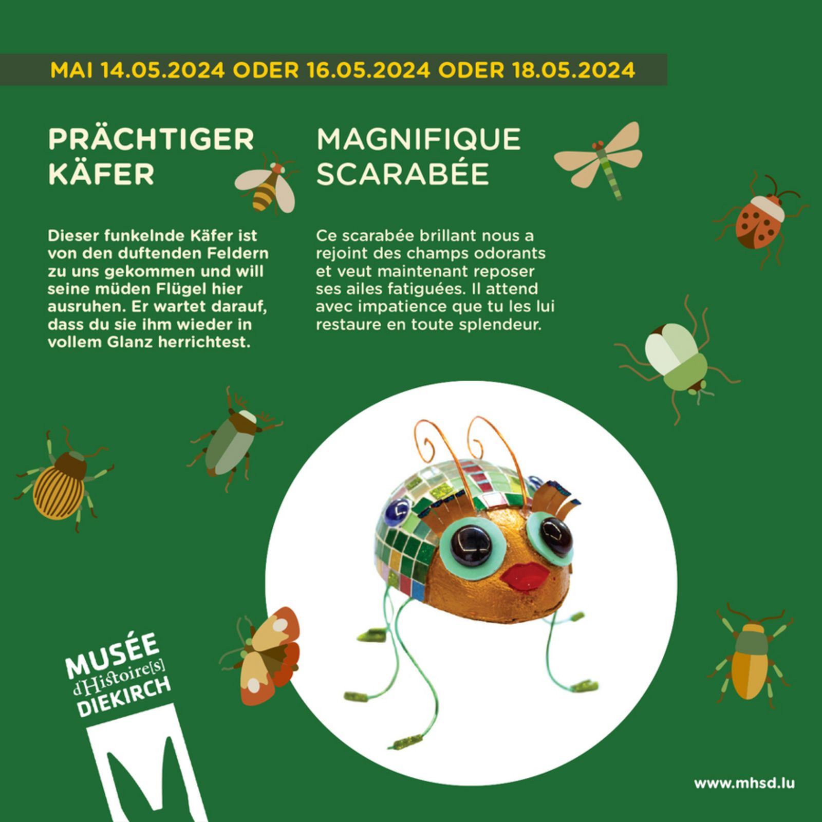 Workshop "Magnifique scarabée"
