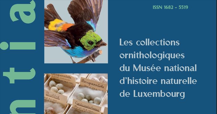 Conférence D'Vulle collection of the 'nature museum'