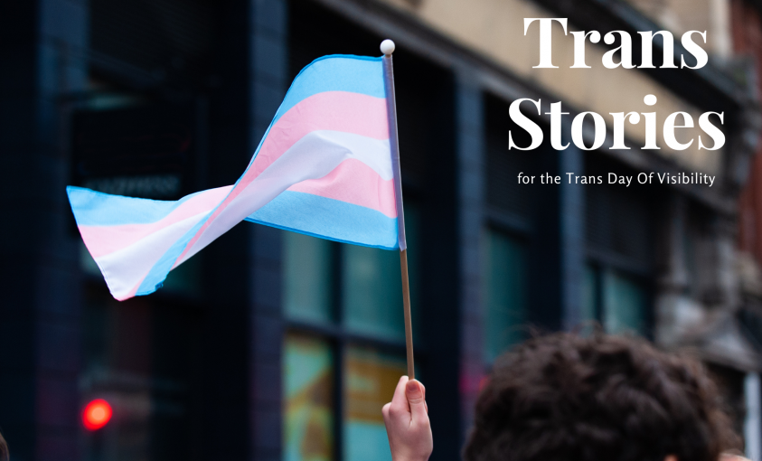 Journée internationale de visibilité transgenre : Trans stories