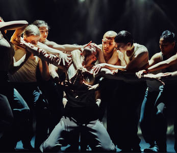 Nederlands Dans Theater: NDT 1