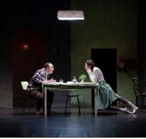 Le Syndrome de l'oiseau - théâtre