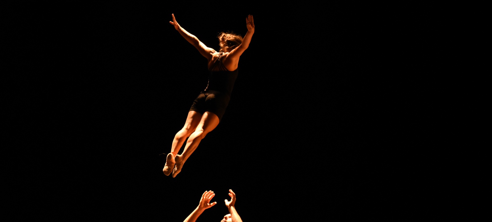 V_rst_ll_ng - cirque contemporain