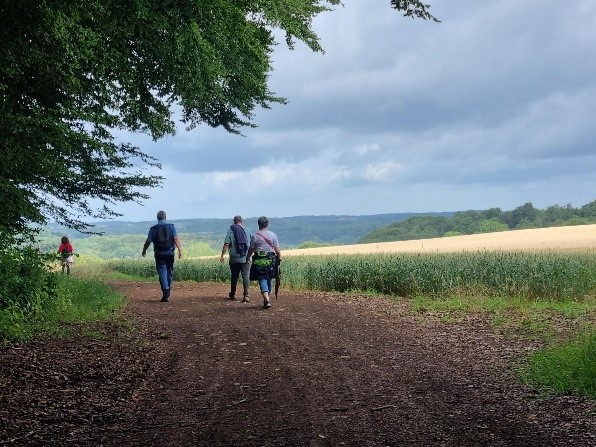 Hiking: Mamerleeën