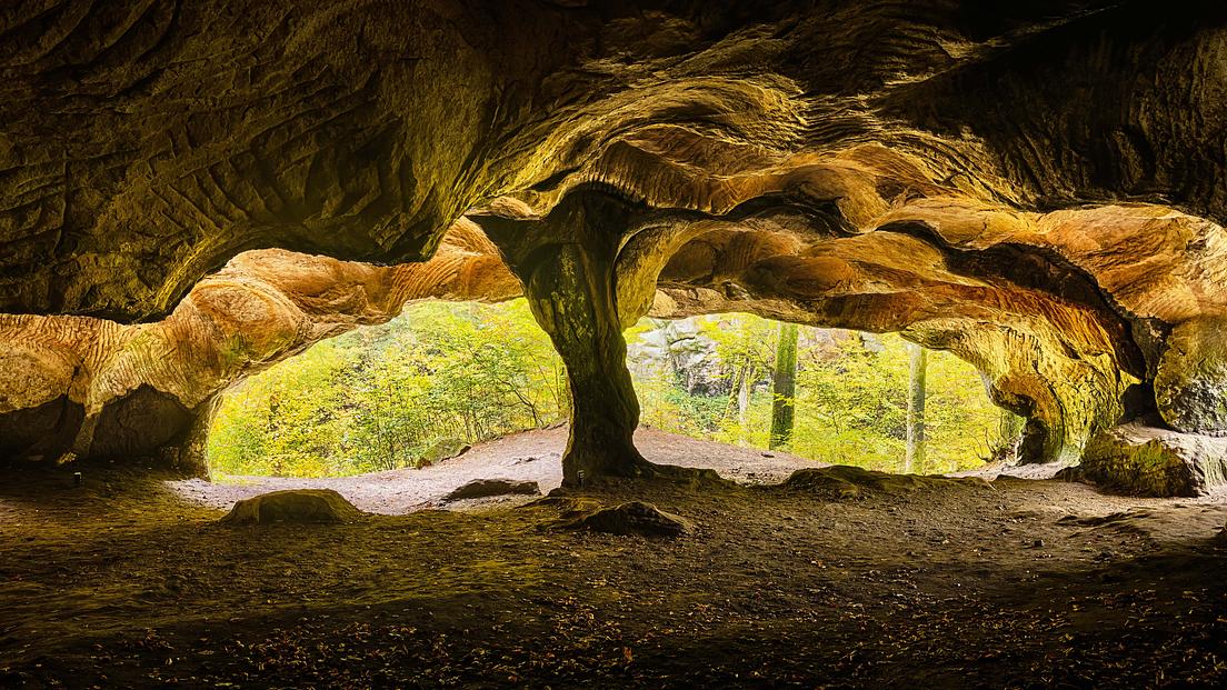 Conference - Luxembourg's Caves and Their Fauna