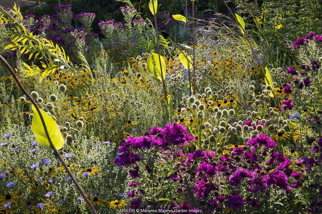 Marianne Majerus: In the garden