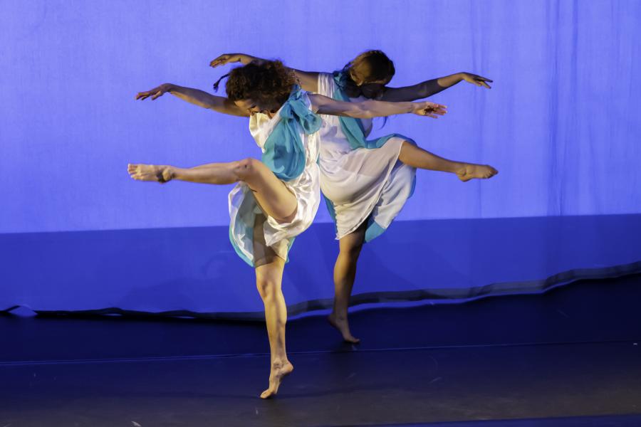 Sa vie - show danse